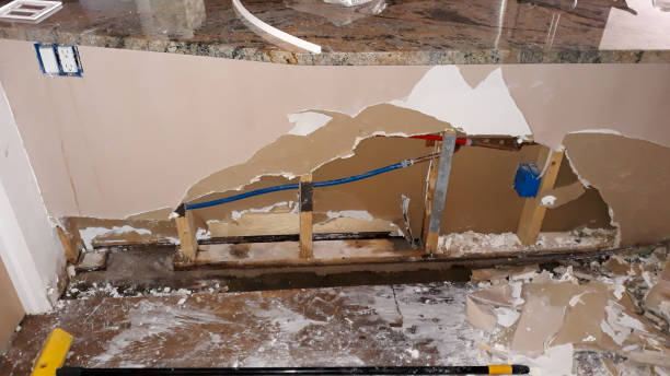 Best Professional water damage repair  in Arkoma, OK