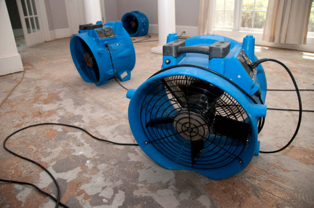 Best Sewage cleanup and water damage restoration  in Arkoma, OK