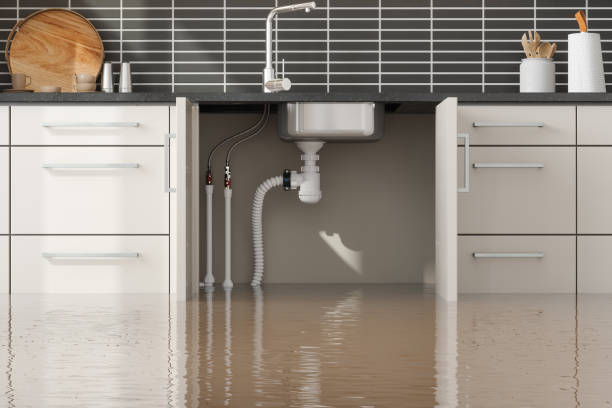 Best Water damage restoration near me  in Arkoma, OK
