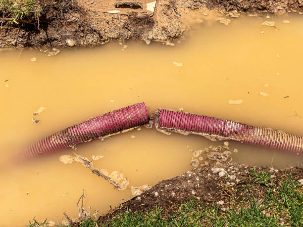 Best Professional water damage repair  in Arkoma, OK